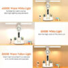 Lampe de Bureau Multifonctionnelle avec Ventilateur